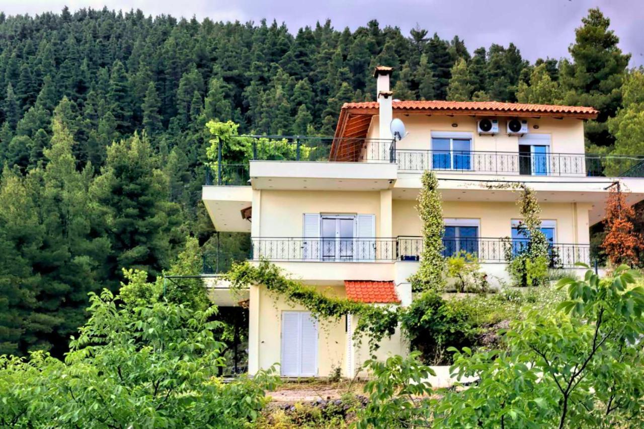 Dream House Capturing The Magic Of Nature Vlachia Luaran gambar