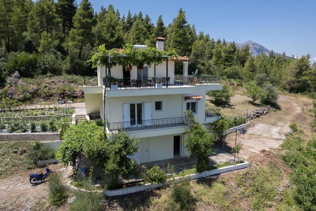 Dream House Capturing The Magic Of Nature Vlachia Luaran gambar