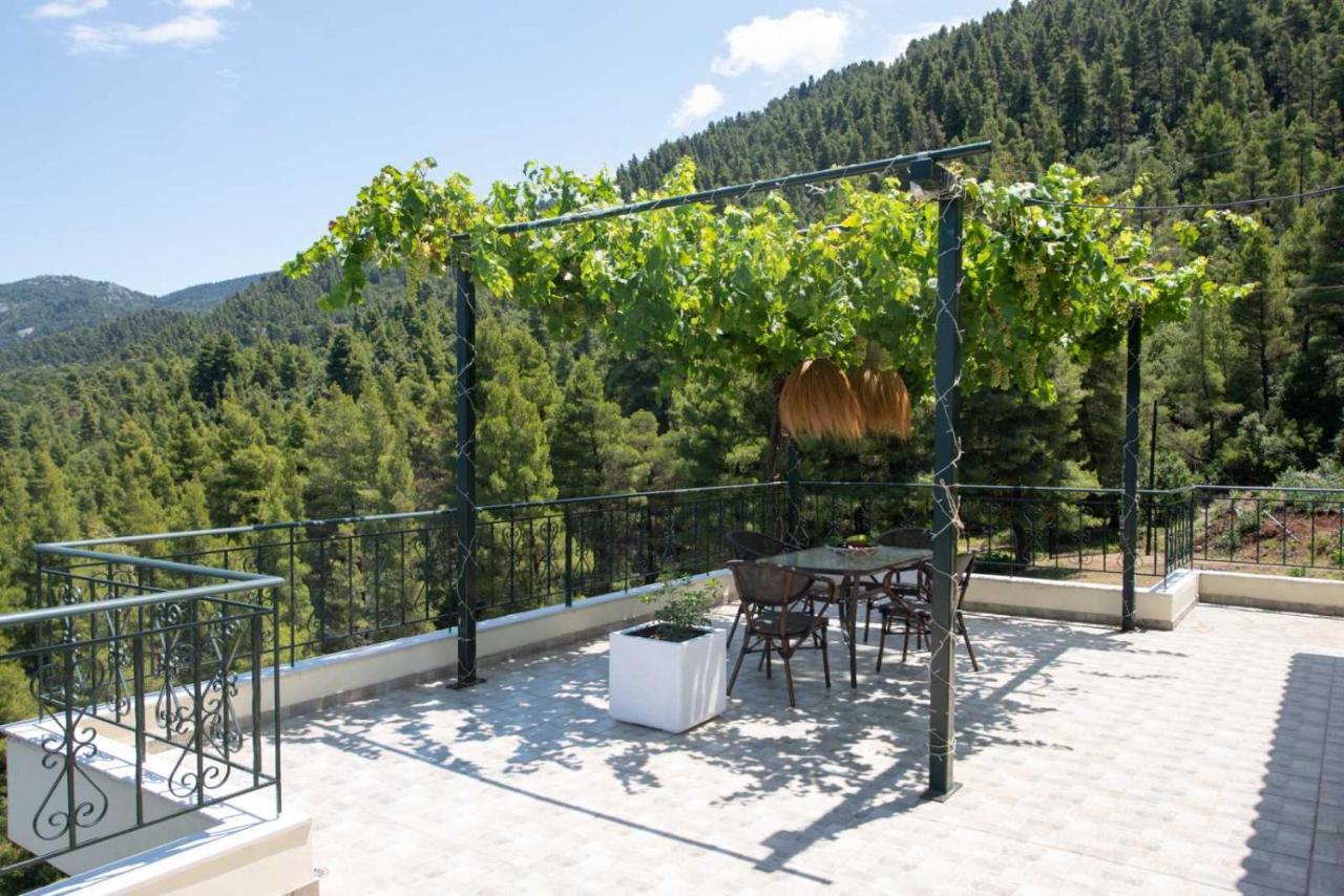 Dream House Capturing The Magic Of Nature Vlachia Luaran gambar