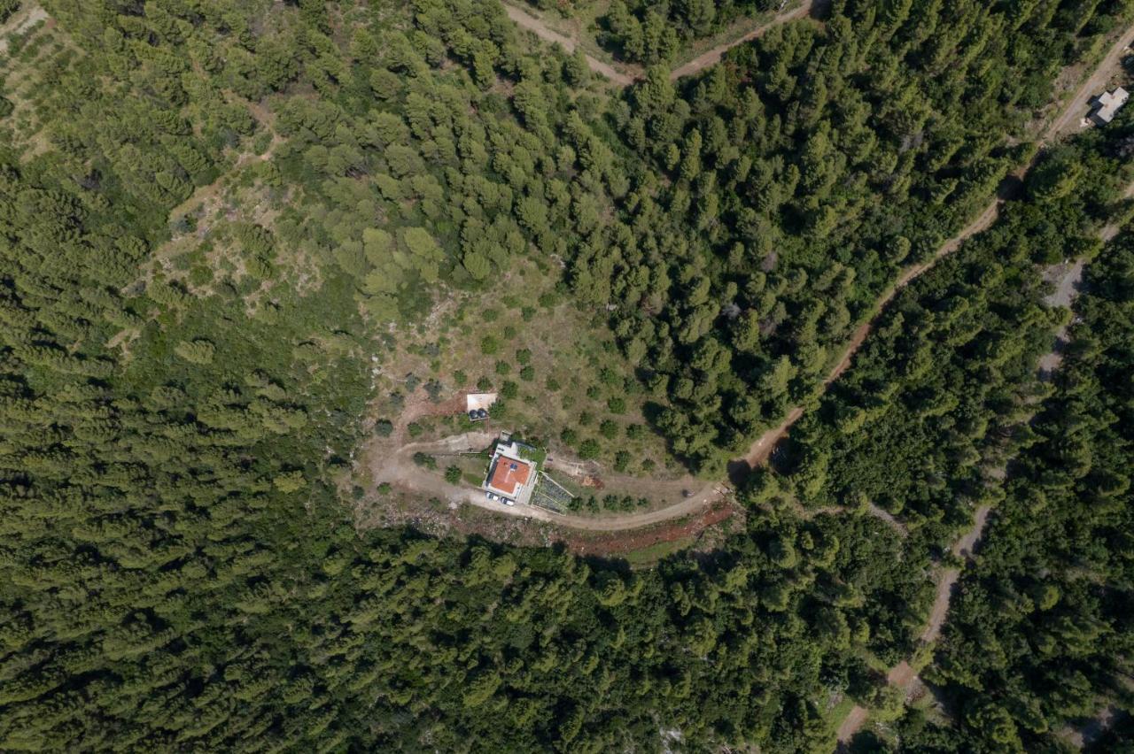 Dream House Capturing The Magic Of Nature Vlachia Luaran gambar